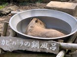 伊豆シャボテン動物公園に投稿された画像（2021/6/8）