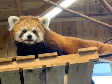 伊豆シャボテン動物公園に投稿された画像（2021/6/8）