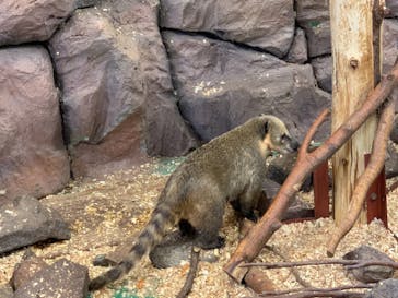 伊豆シャボテン動物公園に投稿された画像（2021/6/8）