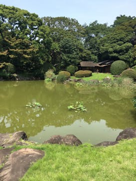 特別展「国宝　鳥獣戯画のすべて」に投稿された画像（2021/6/8）