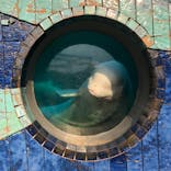 横浜・八景島シーパラダイスに投稿された画像（2021/6/9）