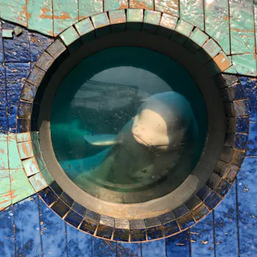 横浜・八景島シーパラダイスに投稿された画像（2021/6/8）