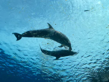 横浜・八景島シーパラダイスに投稿された画像（2021/6/8）