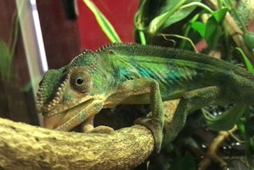 カワスイ 川崎⽔族館に投稿された画像（2021/6/8）