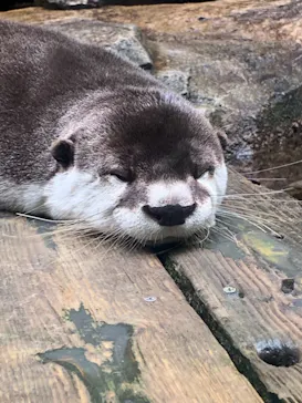 仙台うみの杜水族館に投稿された画像（2021/6/8）