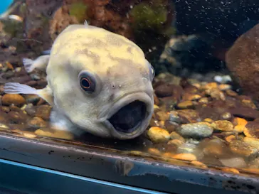 仙台うみの杜水族館に投稿された画像（2021/6/8）