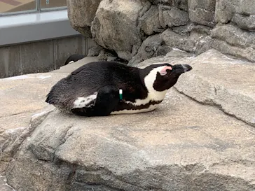 仙台うみの杜水族館に投稿された画像（2021/6/8）