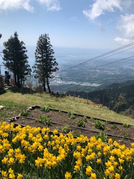 びわ湖バレイに投稿された画像（2021/6/8）