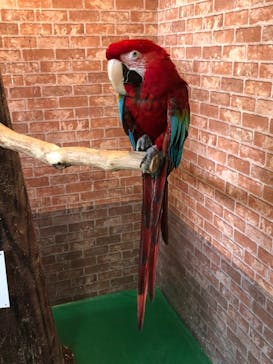 ひらかたパークに投稿された画像（2021/6/9）