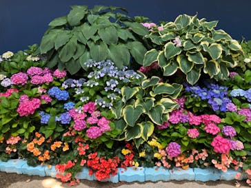 ひらかたパークに投稿された画像（2021/6/9）