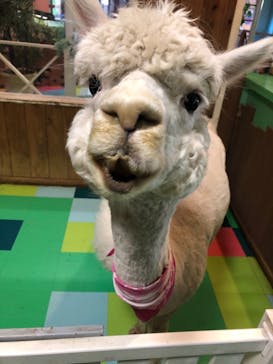 ひらかたパークに投稿された画像（2021/6/9）