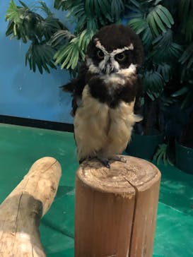 ひらかたパークに投稿された画像（2021/6/9）