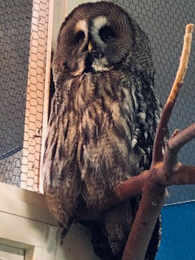 ひらかたパークに投稿された画像（2021/6/9）