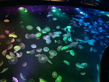 すみだ水族館に投稿された画像（2021/6/9）