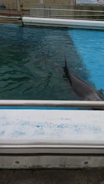 横浜・八景島シーパラダイスに投稿された画像（2021/6/9）