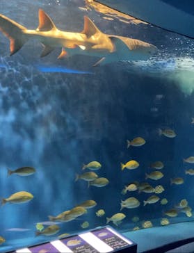 京急油壺マリンパークに投稿された画像（2021/6/9）