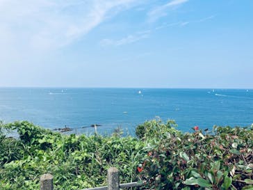 京急油壺マリンパークに投稿された画像（2021/6/9）