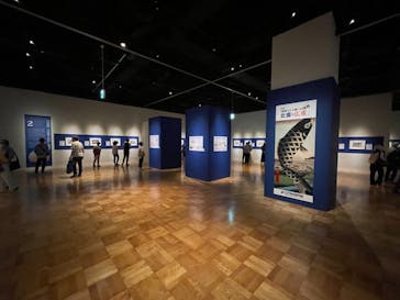 特別展「冨嶽三十六景への挑戦 北斎と広重」東京都江戸東京博物館に投稿された画像（2021/6/9）