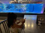 すみだ水族館に投稿された画像（2021/6/9）
