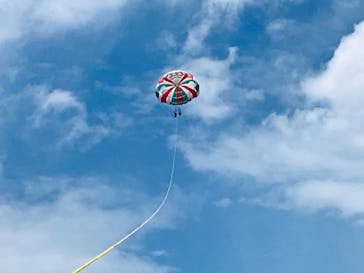 Sea World（シーワールド）に投稿された画像（2021/6/9）