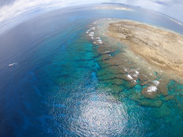 Sea World（シーワールド）に投稿された画像（2021/6/9）