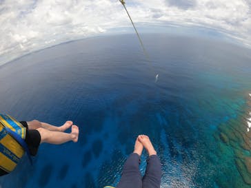 Sea World（シーワールド）に投稿された画像（2021/6/9）