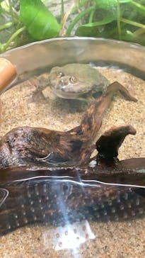 サンシャイン水族館に投稿された画像（2021/6/9）