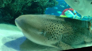 サンシャイン水族館に投稿された画像（2021/6/9）