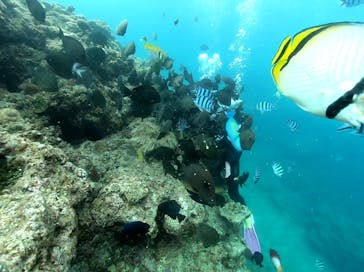 DIVING-SHOP SUNSに投稿された画像（2021/6/10）