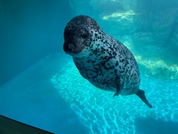 大分マリーンパレス水族館 「うみたまご」に投稿された画像（2021/6/10）