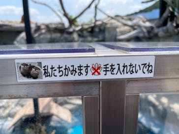 大分マリーンパレス水族館 「うみたまご」に投稿された画像（2021/6/10）