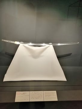 特別展「国宝　鳥獣戯画のすべて」に投稿された画像（2021/6/10）