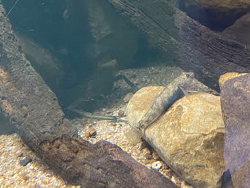 京急油壺マリンパークに投稿された画像（2021/6/11）