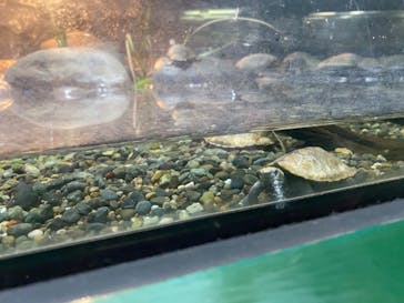 京急油壺マリンパークに投稿された画像（2021/6/9）