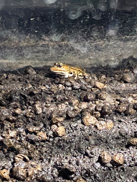 京急油壺マリンパークに投稿された画像（2021/6/9）