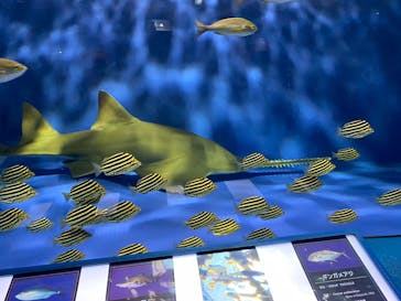 京急油壺マリンパークに投稿された画像（2021/6/9）