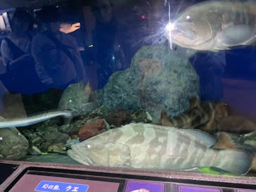 京急油壺マリンパークに投稿された画像（2021/6/9）