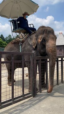 那須サファリパークに投稿された画像（2021/6/11）