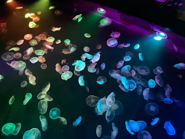 すみだ水族館に投稿された画像（2021/6/11）