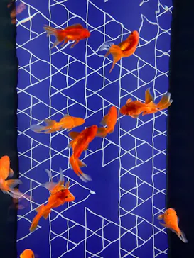 すみだ水族館に投稿された画像（2021/6/11）