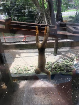 ネオパークオキナワに投稿された画像（2021/6/11）