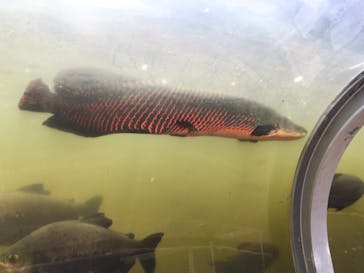 ネオパークオキナワに投稿された画像（2021/6/11）