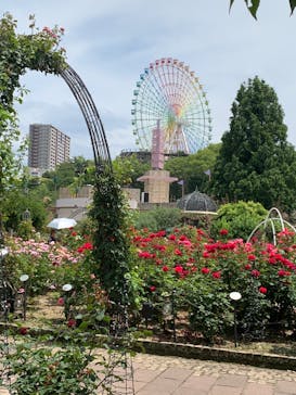 ひらかたパークに投稿された画像（2021/6/11）