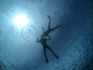 武藤潜水に投稿された画像（2021/6/11）