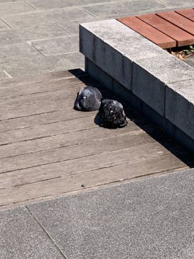 特別展「国宝　鳥獣戯画のすべて」に投稿された画像（2021/6/11）