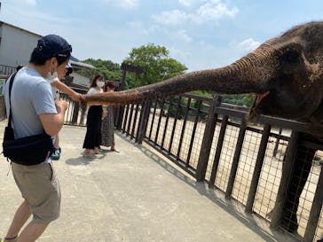 那須サファリパークに投稿された画像（2021/6/11）