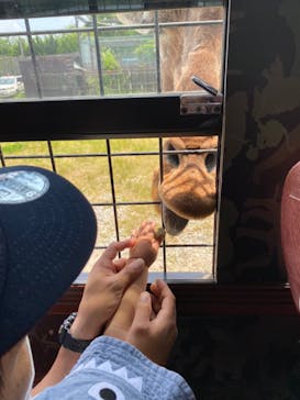 那須サファリパークに投稿された画像（2021/6/11）