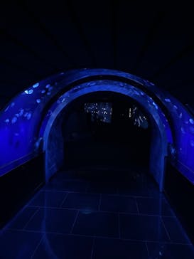 サンシャイン水族館に投稿された画像（2021/6/11）