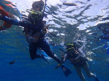 Sea World（シーワールド）に投稿された画像（2021/6/11）