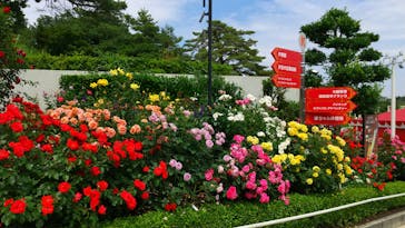 西武園ゆうえんちに投稿された画像（2021/6/11）